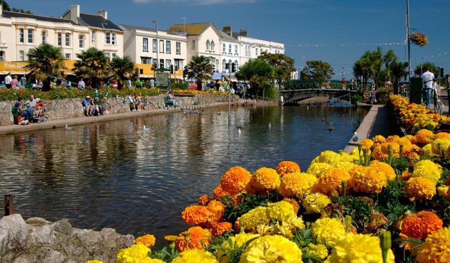 Dawlish Lawn View Apartment ภายนอก รูปภาพ